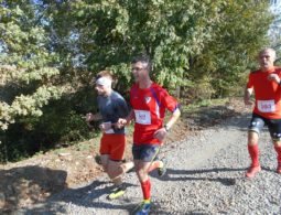 4. Hradčanské vlnky