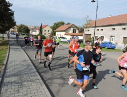 7. Hradčanské vlnky