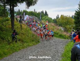 15. Jesenický půlmaraton
